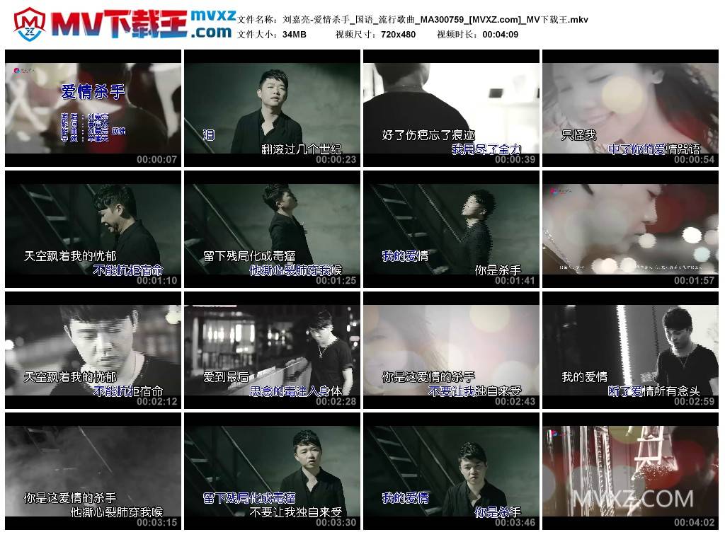 刘嘉亮-爱情杀手_国语_流行歌曲_MA300759